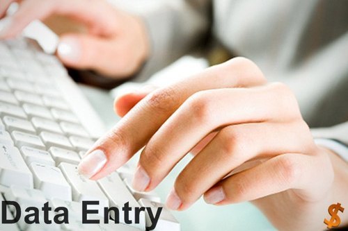 Accurate Online Form Data Entry, Online Data Entry Services