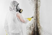 How to Choose the Right Mold Testing Firm