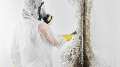 How to Choose the Right Mold Testing Firm