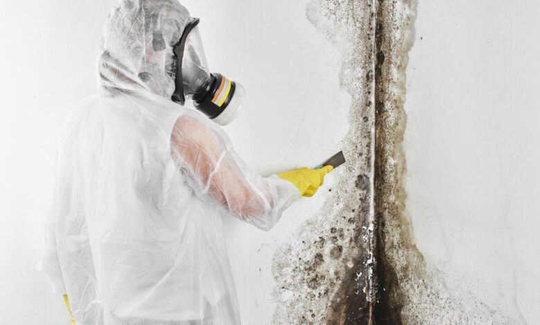 How to Choose the Right Mold Testing Firm